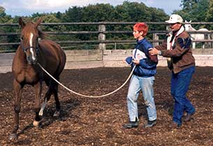 Bodenarbeit auf dem Grubhof