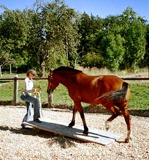 Bodenarbeit auf der Wippe