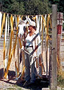 Bodenarbeit mit Flatterbändern