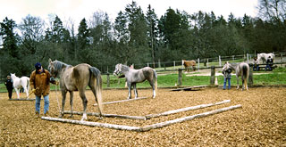 Hindernisse an der Hand bearbeiten