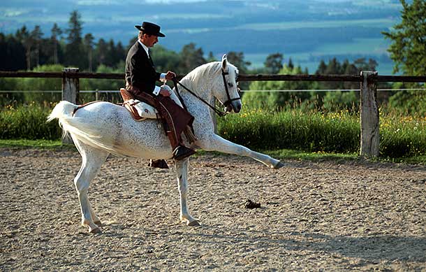 Werner Meier mit Gamed in der Doma Vaquera