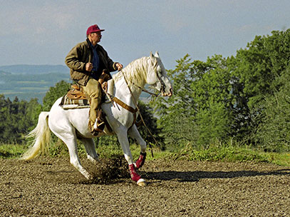 Werner Meier mit Gamal Ibn Gamed im Sliding Stop