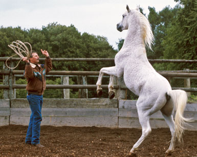 Werner Meier mit Gamed on der Freiheitsdressur 