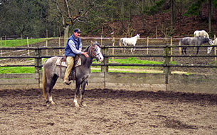 Werner Meier: Die ersten Schritte von Gasara Bint Sfera unter dem Sattel