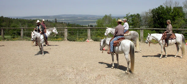 Hackamore-Reitkurs auf dem Grubhof