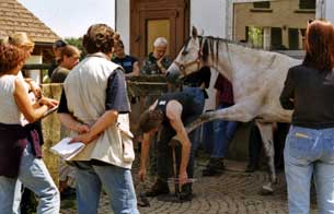 Wissen rund um das Pferd - der Hufschmied